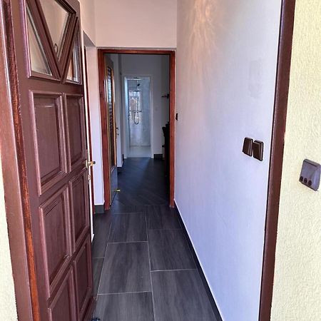 Apartman Nikola Salatić المظهر الخارجي الصورة